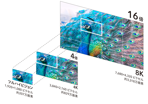 Shark 8K Screen Size